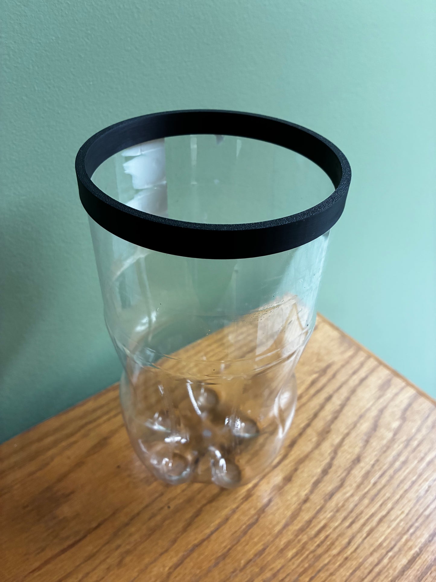 2L Ring for rigidity (Brine Shrimp)